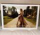 Framed Enchanted Taylor Swift Lithograph Speak Now Era Ultra Rare