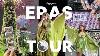 The Ultimate Taylor Swift Eras Tour Vlog Making My Dress Flying To Singapore U0026 More
