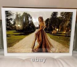 Cadre Enchanté Taylor Swift Lithograph Époque Speak Now ULTRA RARE